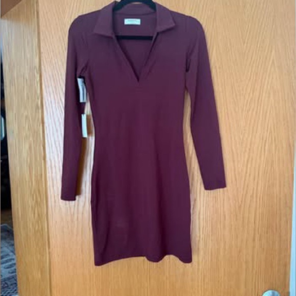 Aritzia Burgundy Long Sleeve Dress